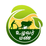 untitled (300 x 300 px) (1)