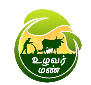 untitled (300 x 300 px) (1)